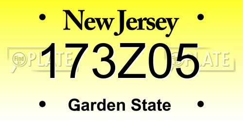173Z05 New Jersey License Plate