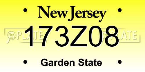 173Z08 New Jersey License Plate
