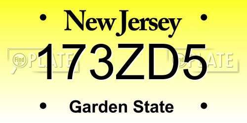 173ZD5 New Jersey License Plate
