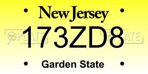 173ZD8 New Jersey License Plate