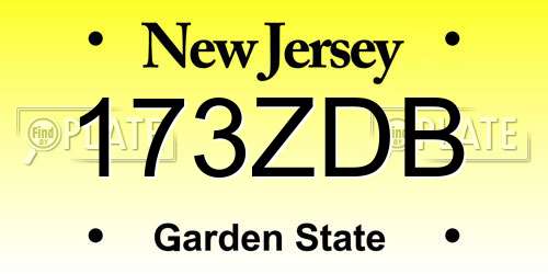 173ZDB New Jersey License Plate