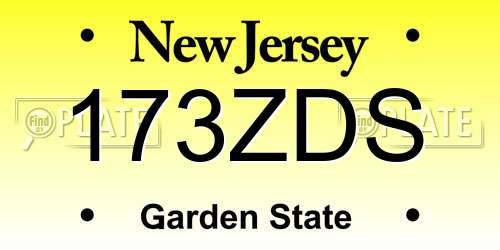 173ZDS New Jersey License Plate