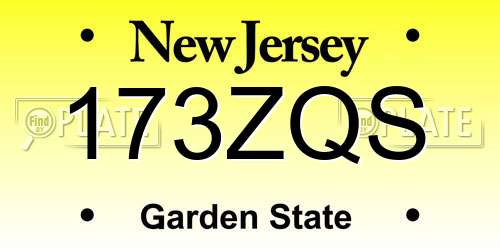 173ZQS New Jersey License Plate
