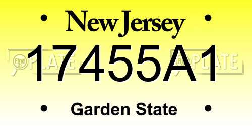 17455A1 New Jersey License Plate