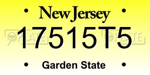 17515T5 New Jersey License Plate