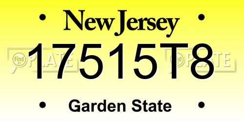17515T8 New Jersey License Plate