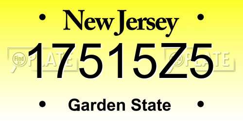 17515Z5 New Jersey License Plate