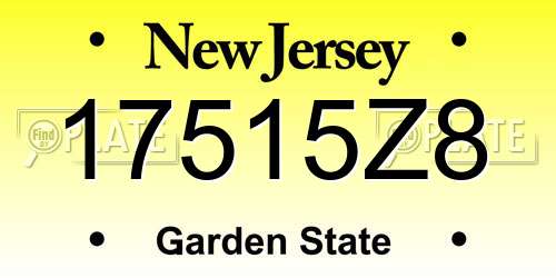 17515Z8 New Jersey License Plate