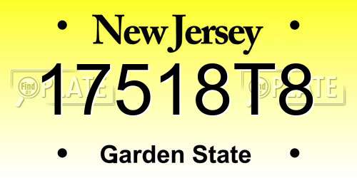 17518T8 New Jersey License Plate