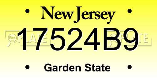 17524B9 New Jersey License Plate