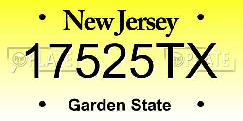 17525TX New Jersey License Plate