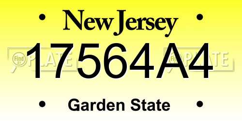 17564A4 New Jersey License Plate