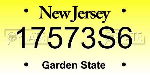 17573S6 New Jersey License Plate