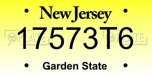 17573T6 New Jersey License Plate