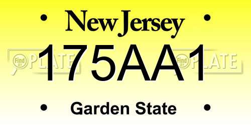 175AA1 New Jersey License Plate