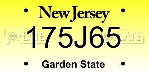 175J65 New Jersey License Plate