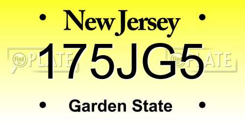 175JG5 New Jersey License Plate