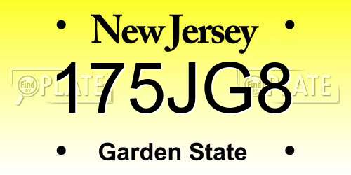 175JG8 New Jersey License Plate