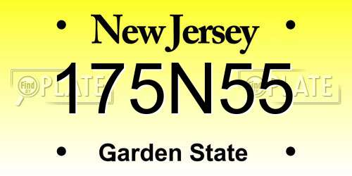 175N55 New Jersey License Plate