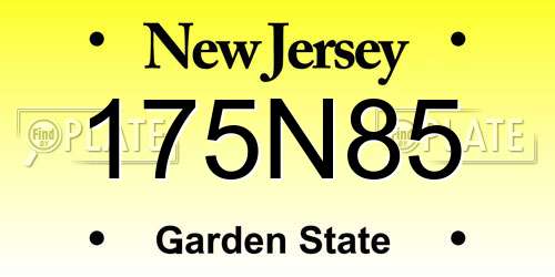 175N85 New Jersey License Plate