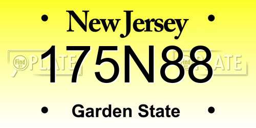 175N88 New Jersey License Plate