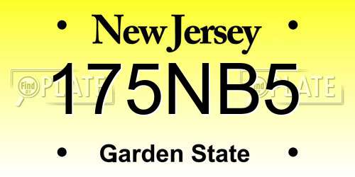 175NB5 New Jersey License Plate