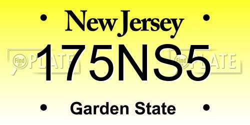 175NS5 New Jersey License Plate