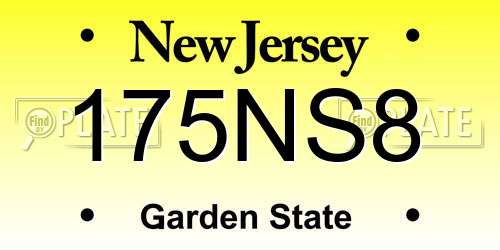 175NS8 New Jersey License Plate