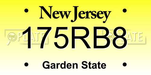 175RB8 New Jersey License Plate