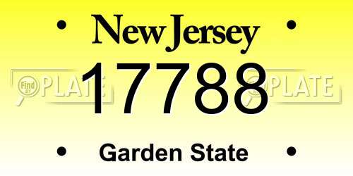 17788 New Jersey License Plate