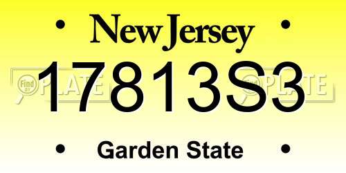 17813S3 New Jersey License Plate