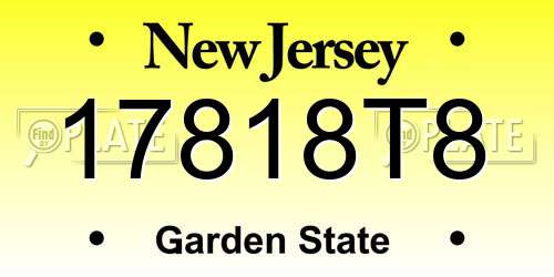 17818T8 New Jersey License Plate
