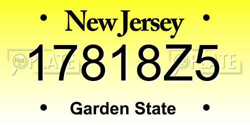 17818Z5 New Jersey License Plate