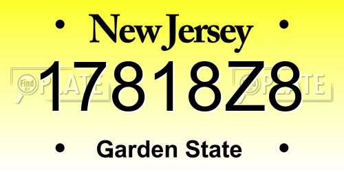 17818Z8 New Jersey License Plate