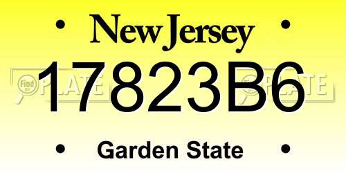 17823B6 New Jersey License Plate