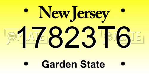 17823T6 New Jersey License Plate