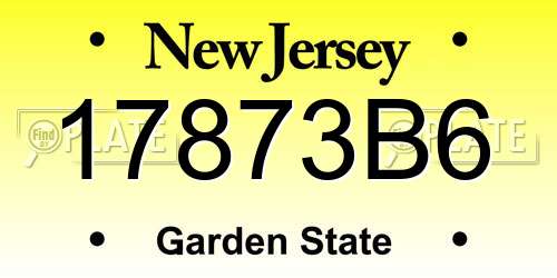 17873B6 New Jersey License Plate