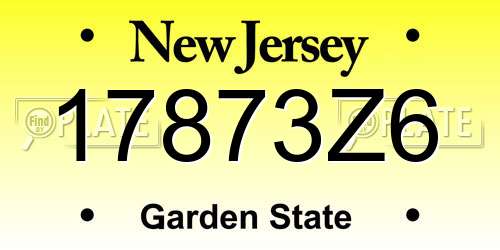 17873Z6 New Jersey License Plate