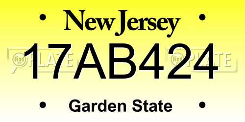 17AB424 New Jersey License Plate