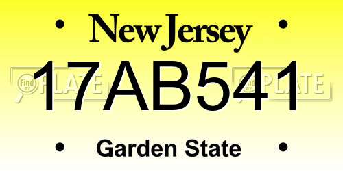 17AB541 New Jersey License Plate
