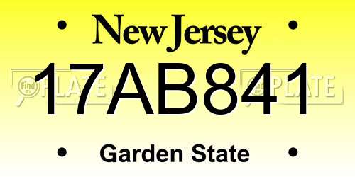 17AB841 New Jersey License Plate