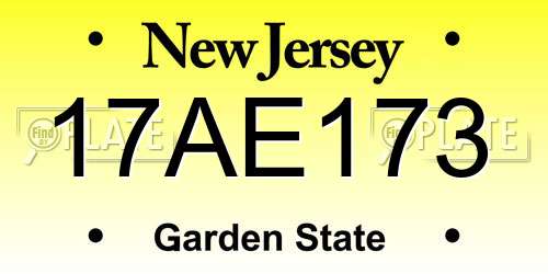 17AE173 New Jersey License Plate