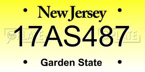 17AS487 New Jersey License Plate