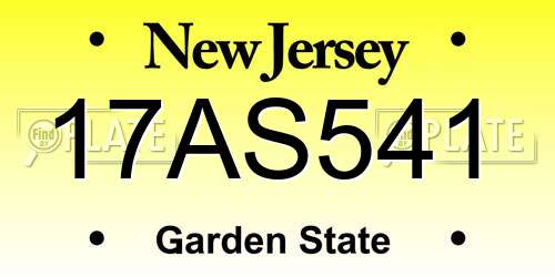 17AS541 New Jersey License Plate