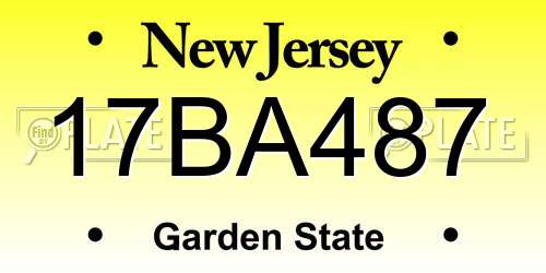 17BA487 New Jersey License Plate