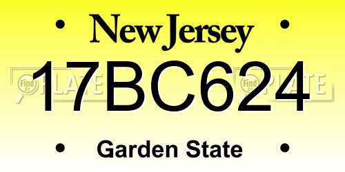 17BC624 New Jersey License Plate