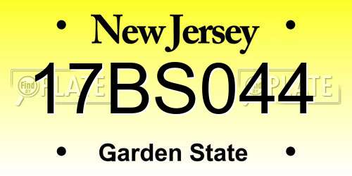 17BS044 New Jersey License Plate