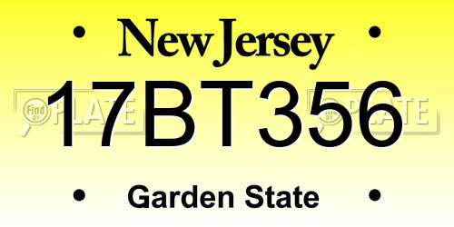 17BT356 New Jersey License Plate