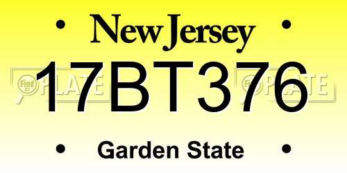17BT376 New Jersey License Plate