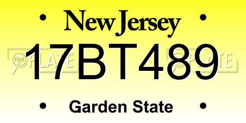 17BT489 New Jersey License Plate